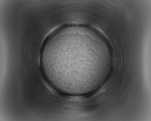 X0000086750446200705041430