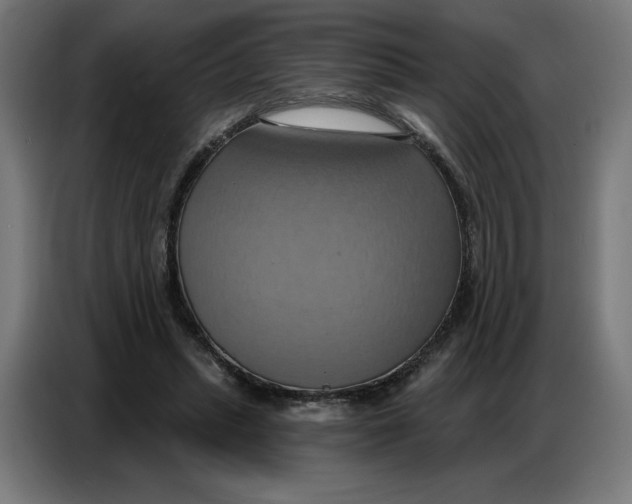 X0000086750447200705041430