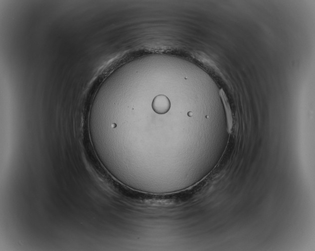 X0000086750448200705041430