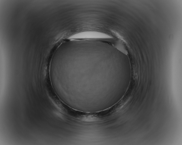 X0000086750451200705041431