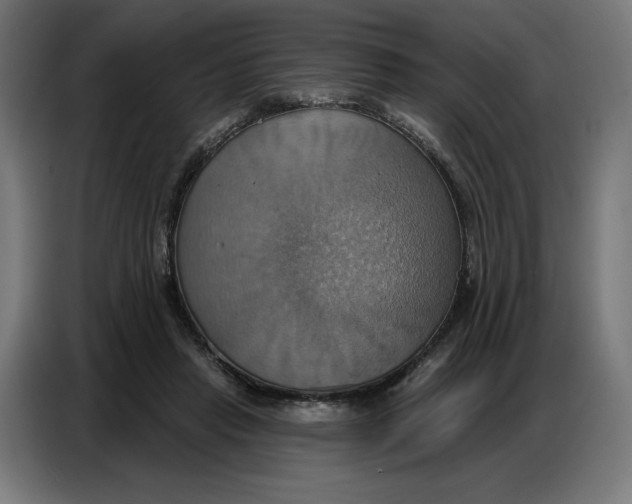 X0000086750453200705041431