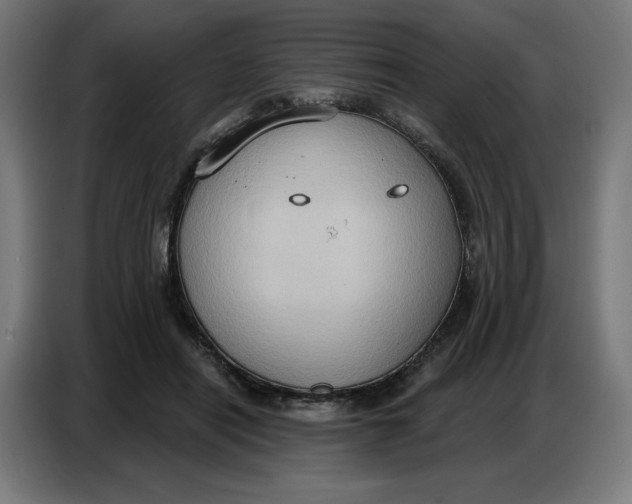 X0000086750454200705041431