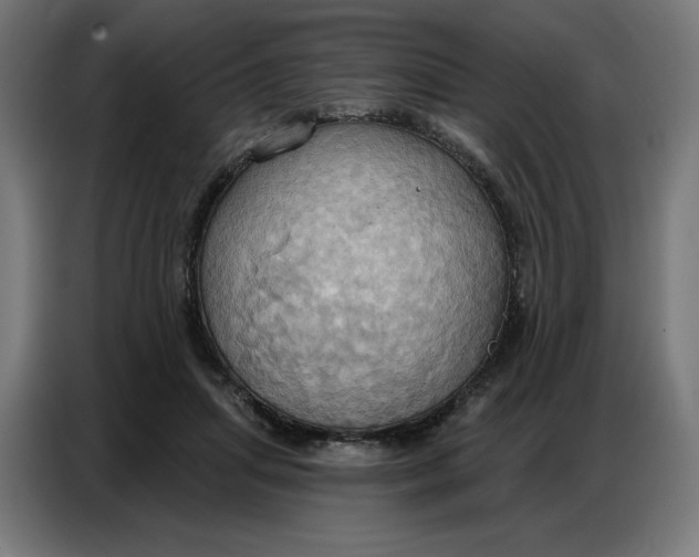 X0000086750455200705041431