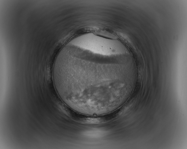 X0000086750457200705041431