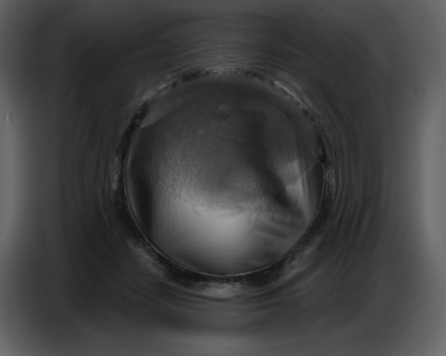 X0000086750458200705041431