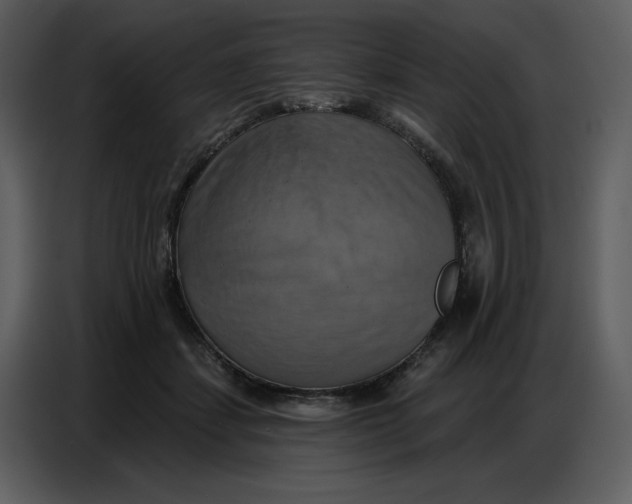 X0000086750459200705041431