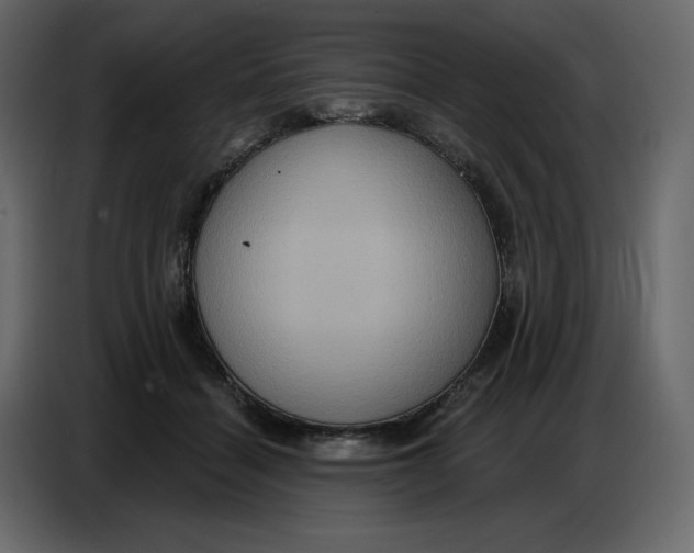 X0000086750460200705041431