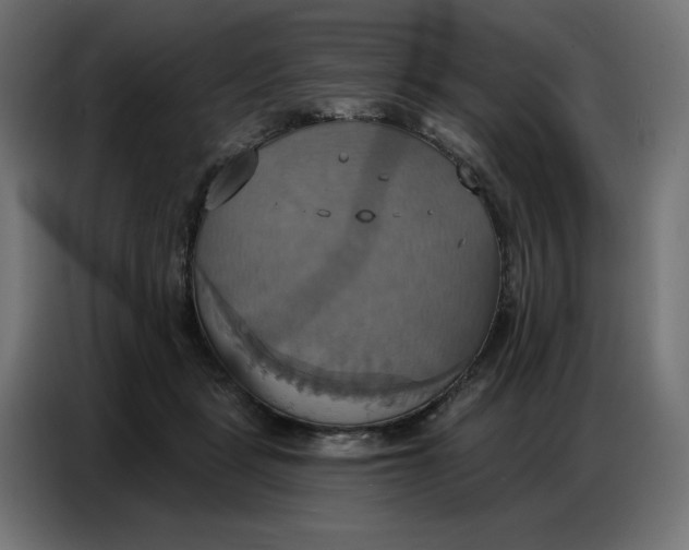 X0000086750461200705041431