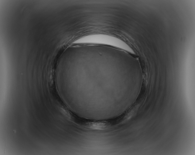 X0000086750462200705041431