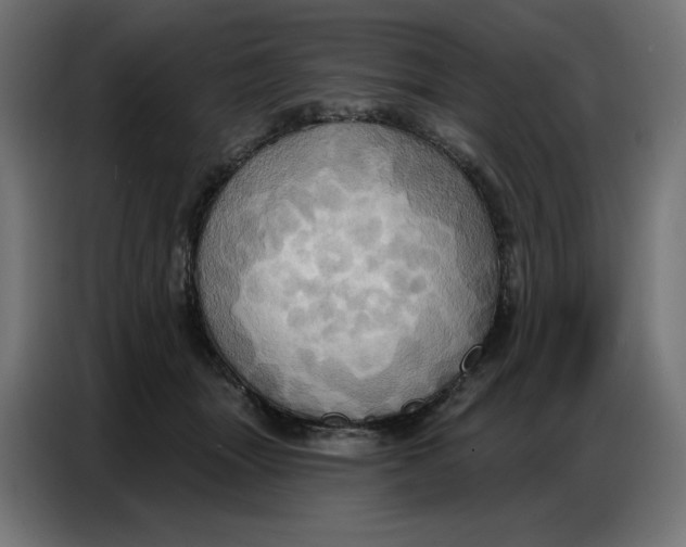 X0000086750463200705041431