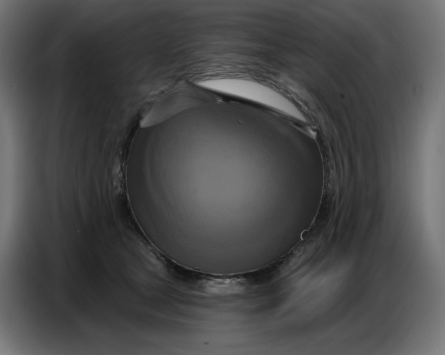 X0000086750465200705041431