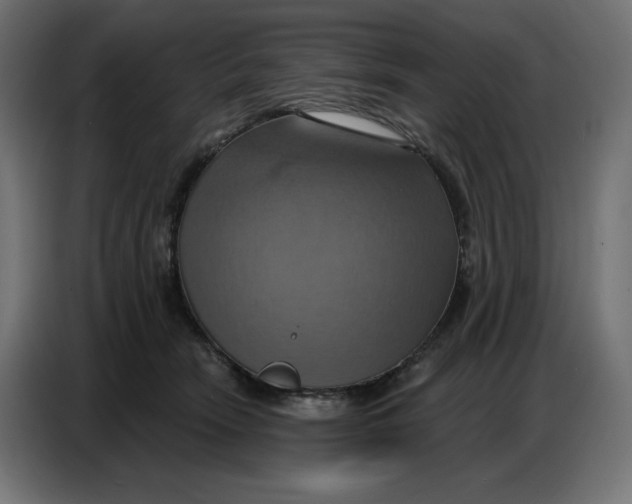 X0000086750466200705041431