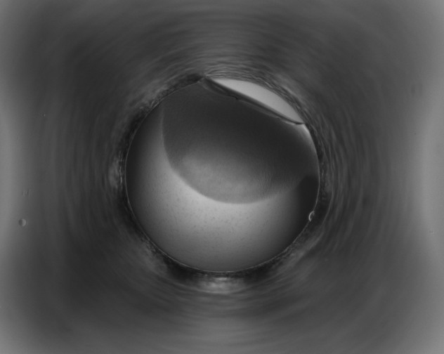 X0000086750467200705041431