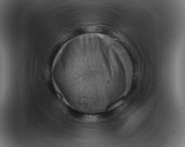 X0000086750469200705041431