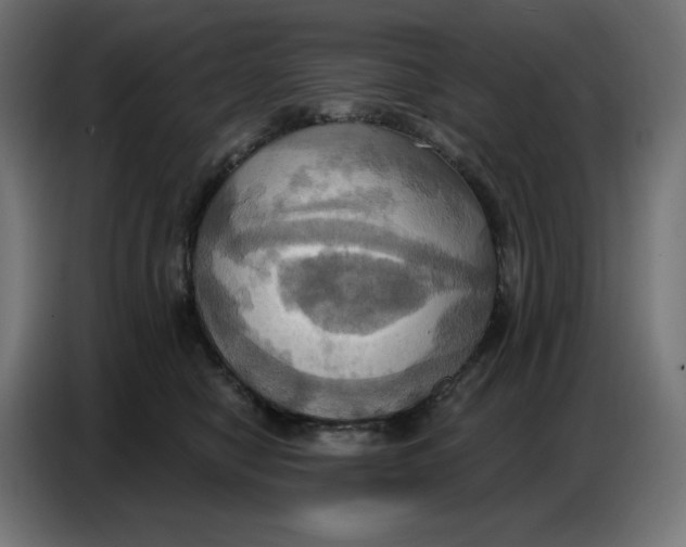 X0000086750470200705041431