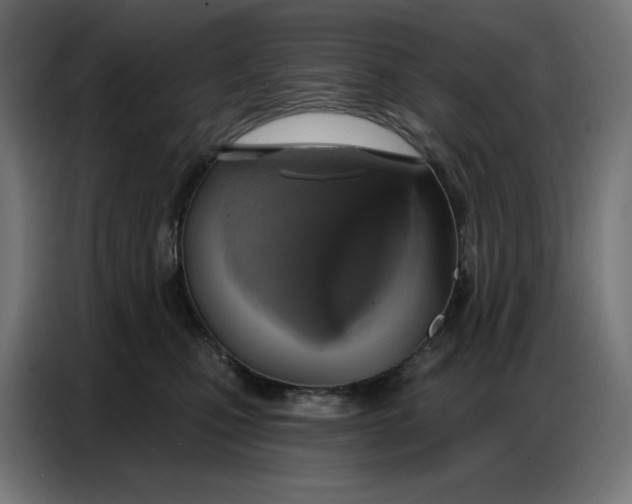 X0000086750471200705041431