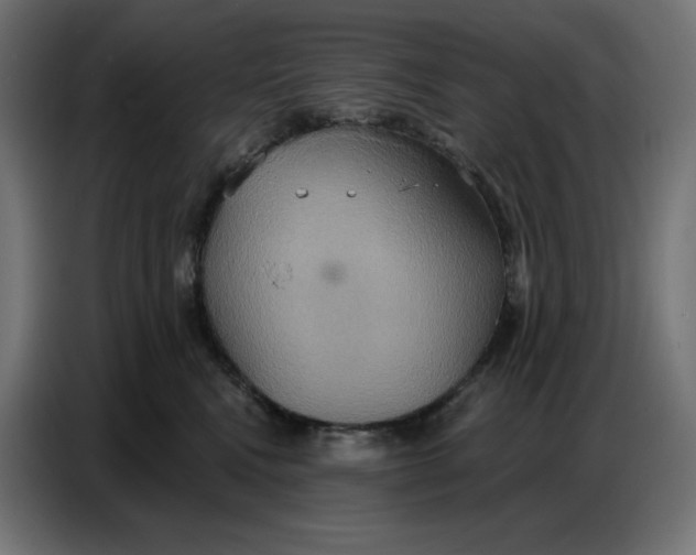 X0000086750472200705041431