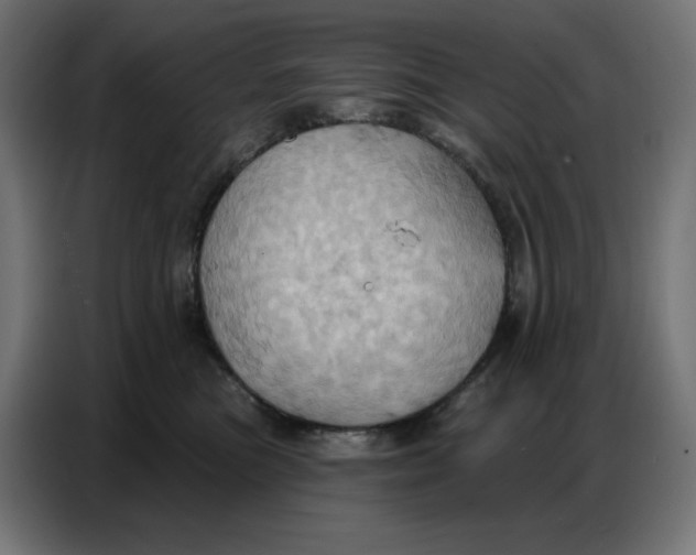 X0000086750473200705041431