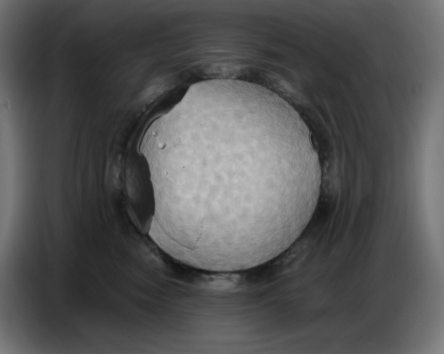 X0000086750474200705041431