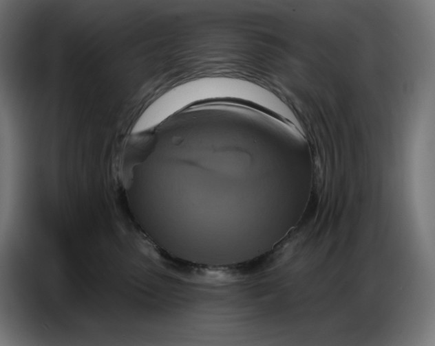 X0000086750475200705041431