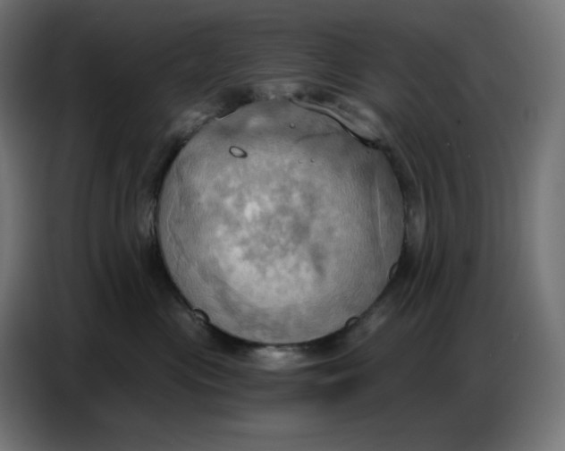 X0000086750477200705041431