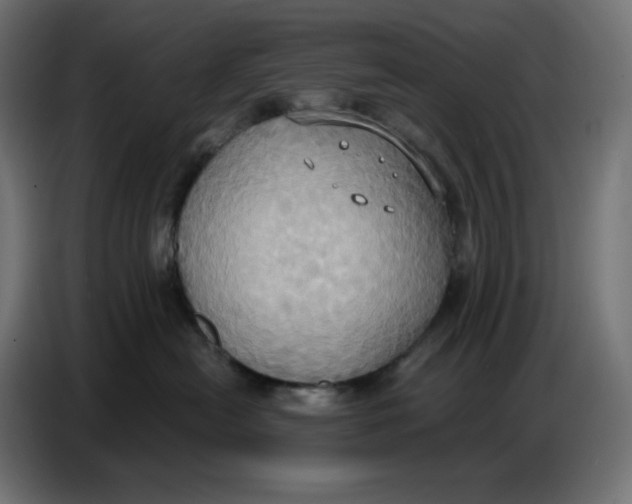 X0000086750478200705041431