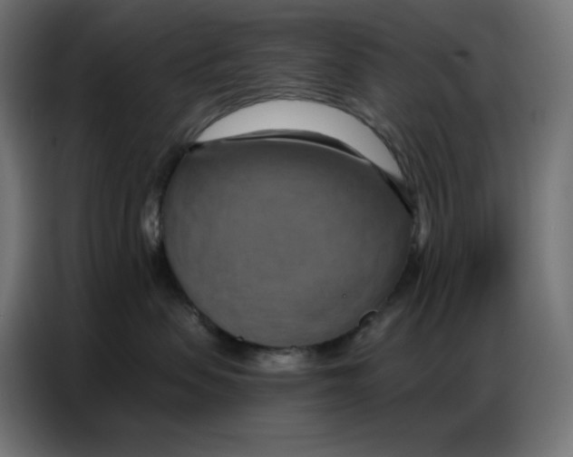 X0000086750479200705041431