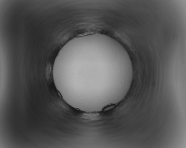 X0000086750480200705041431