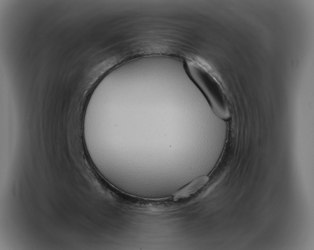 X0000086750481200705041430