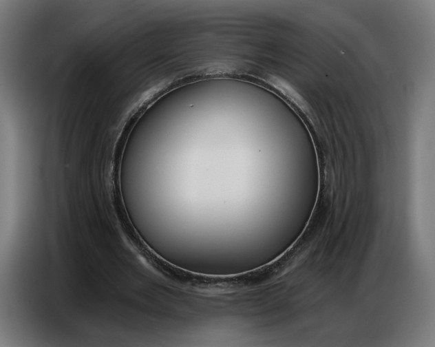 X0000086750485200705041430