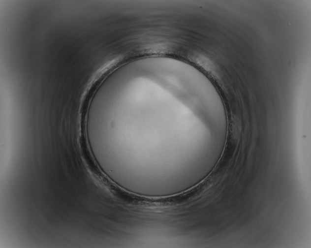 X0000086750486200705041430