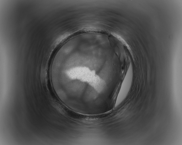 X0000086750487200705041430