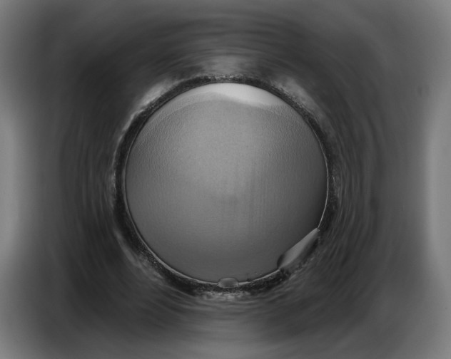 X0000086750488200705041430