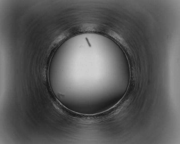 X0000086750489200705041430