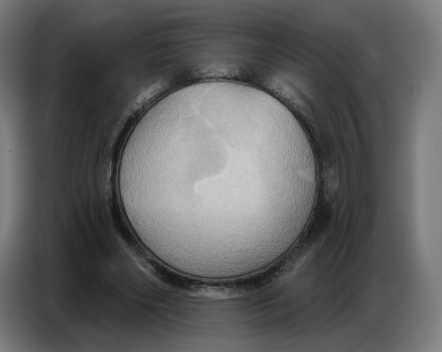 X0000086750490200705041430