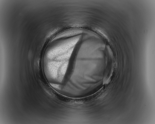 X0000086750491200705041430