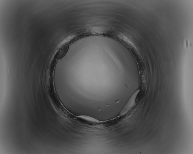 X0000086750492200705041430