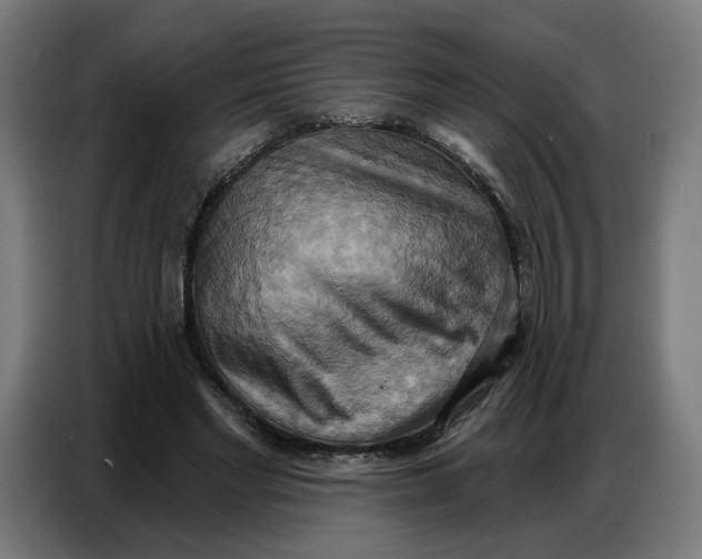 X0000086750493200705041430