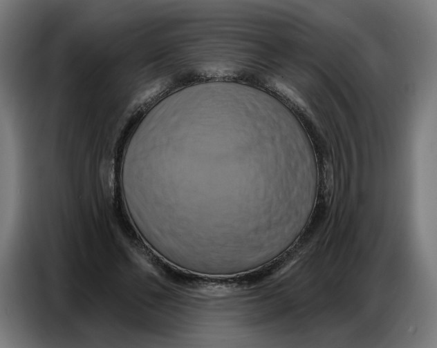 X0000086750494200705041430