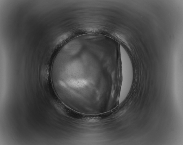 X0000086750495200705041430