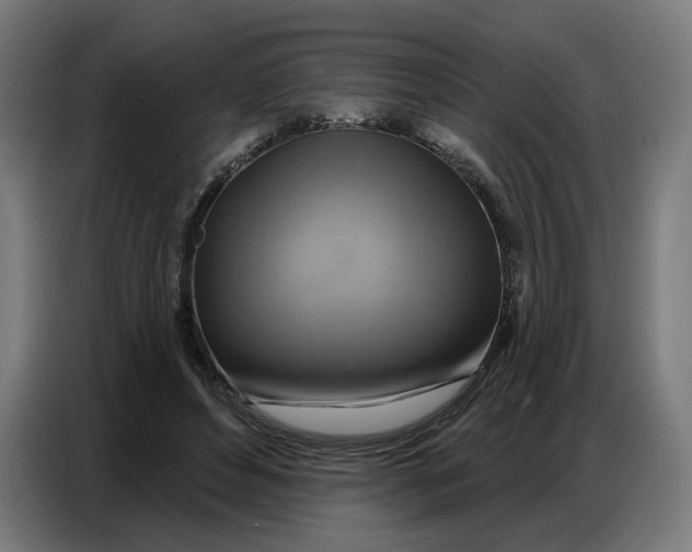 X0000086750496200705041430