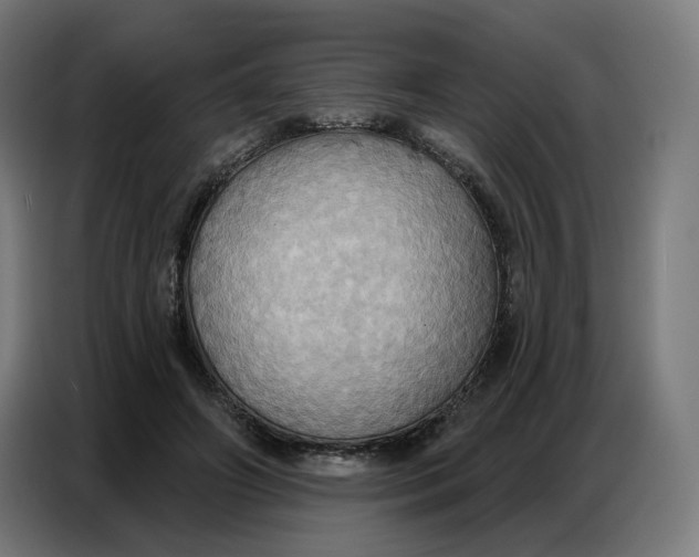 X0000086750498200705041430