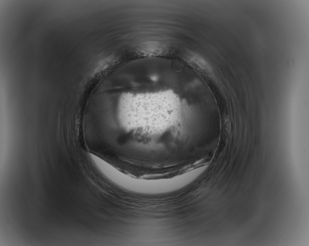 X0000086750499200705041430