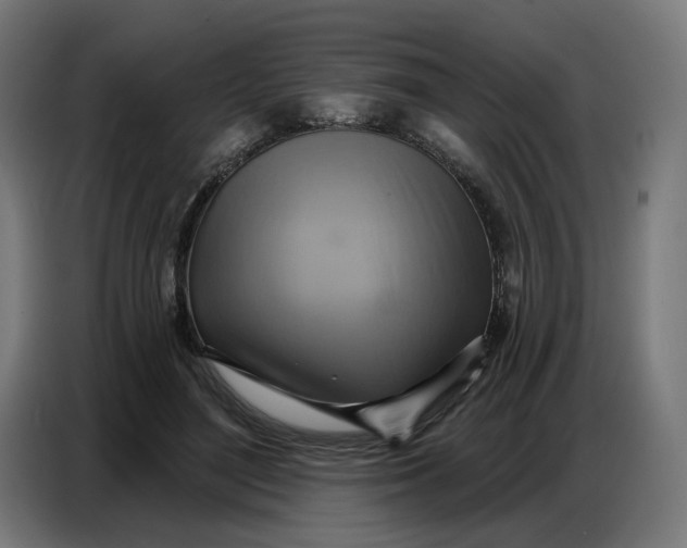 X0000086750500200705041430