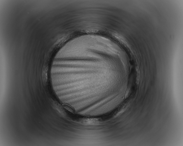 X0000086750501200705041430