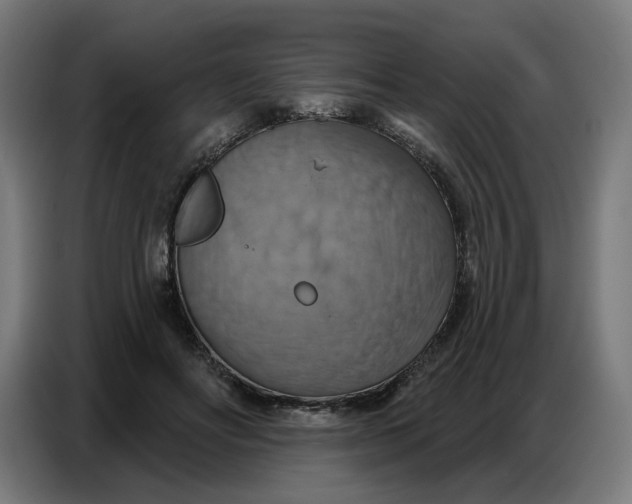 X0000086750502200705041430