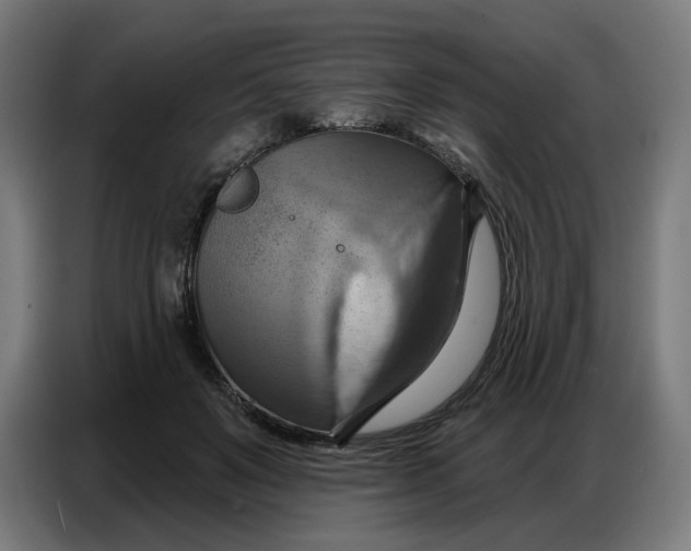 X0000086750503200705041430