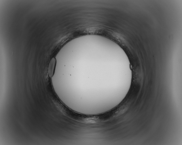 X0000086750505200705041430