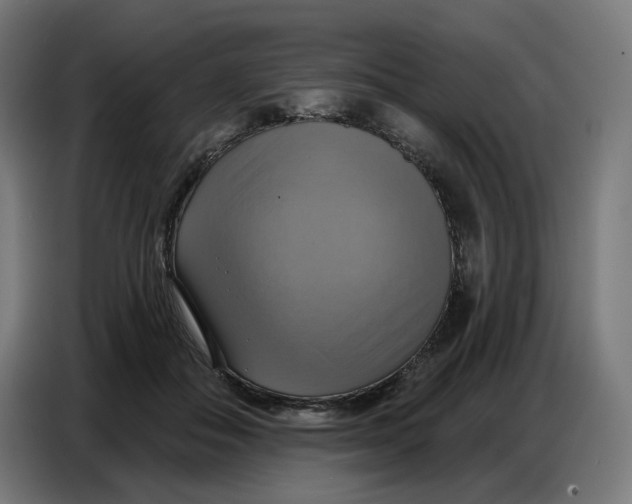 X0000086750506200705041430