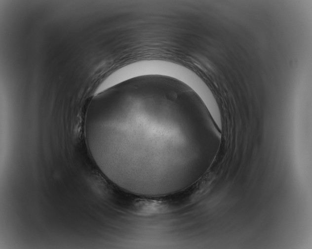 X0000086750507200705041430